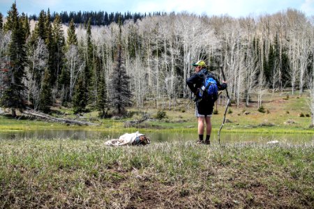 Wilderness, Hike, Man