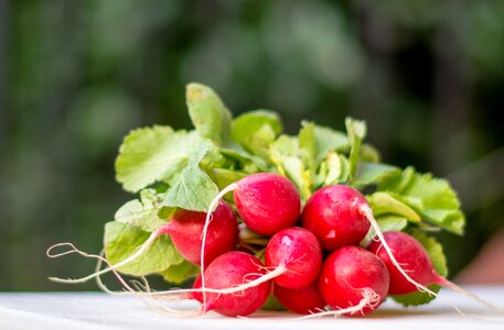 Bokeh red green
