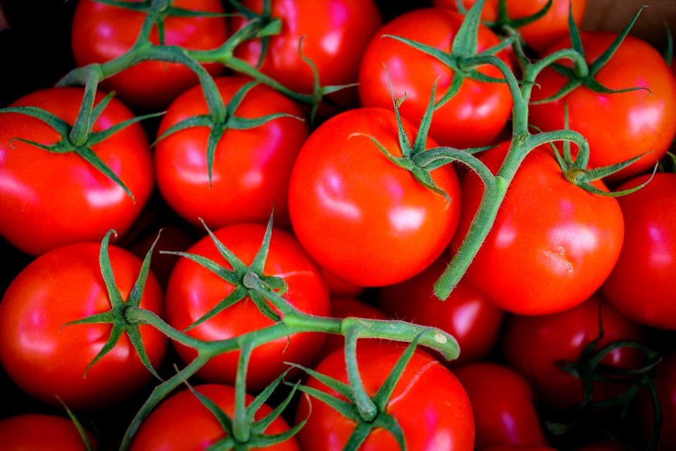 Food, Colours, Red