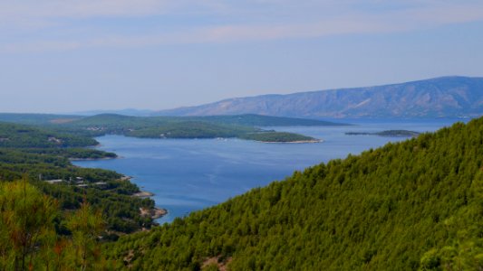 Croatia, Mountain range, Forest