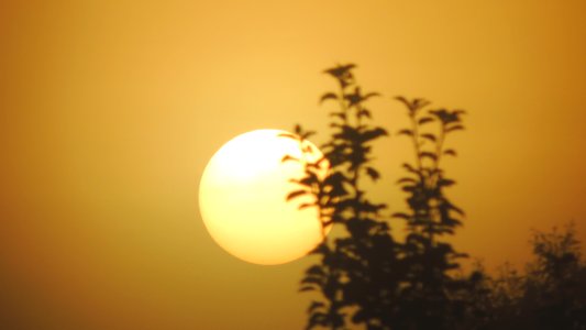 Photography, Photo, Sun