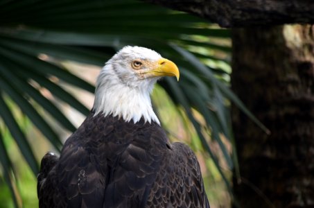 Melbourne, United states, Palm bay