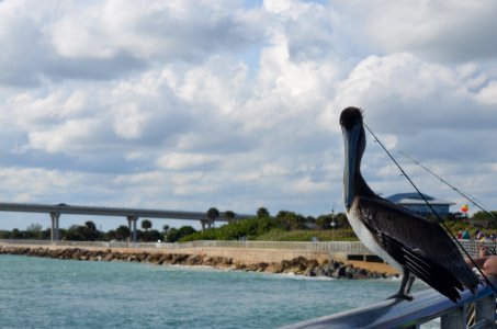 Sebastian, United states, Seaside