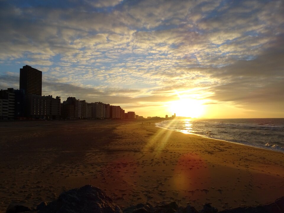 Oostende bee sunset