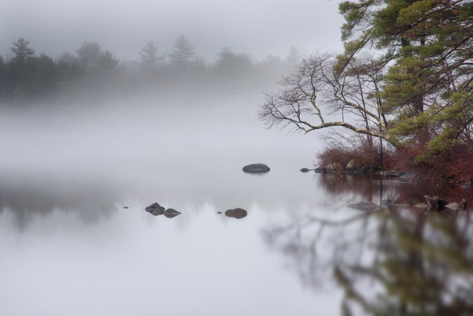 Bridgton, United states, North woods