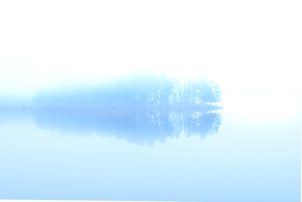 body of water across trees surrounded by fogs
