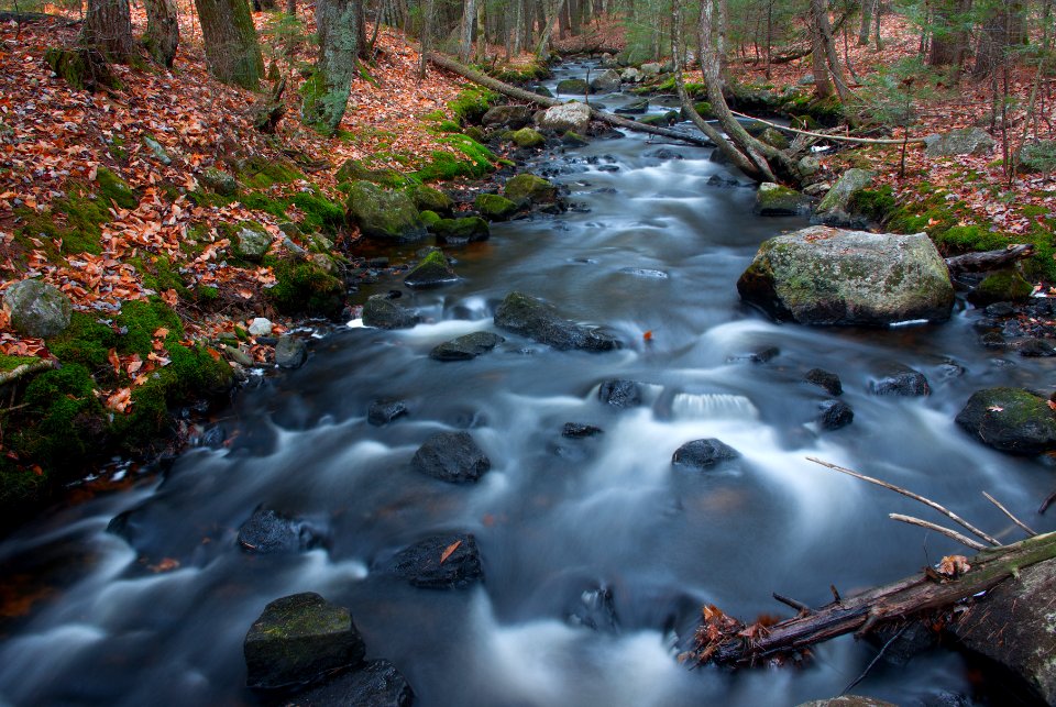 Conway, United states, White mountains