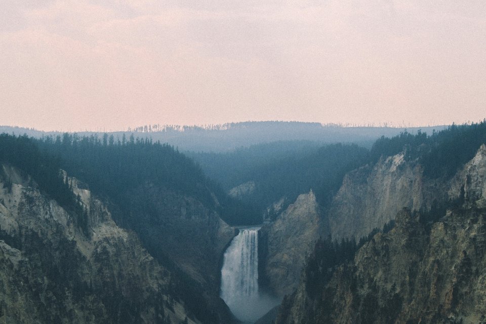 Forest, River, Canyon