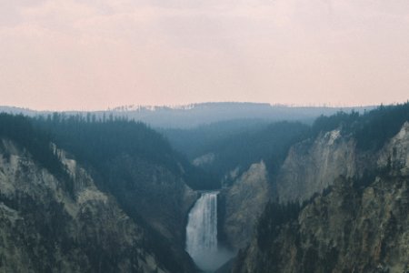 Forest, River, Canyon