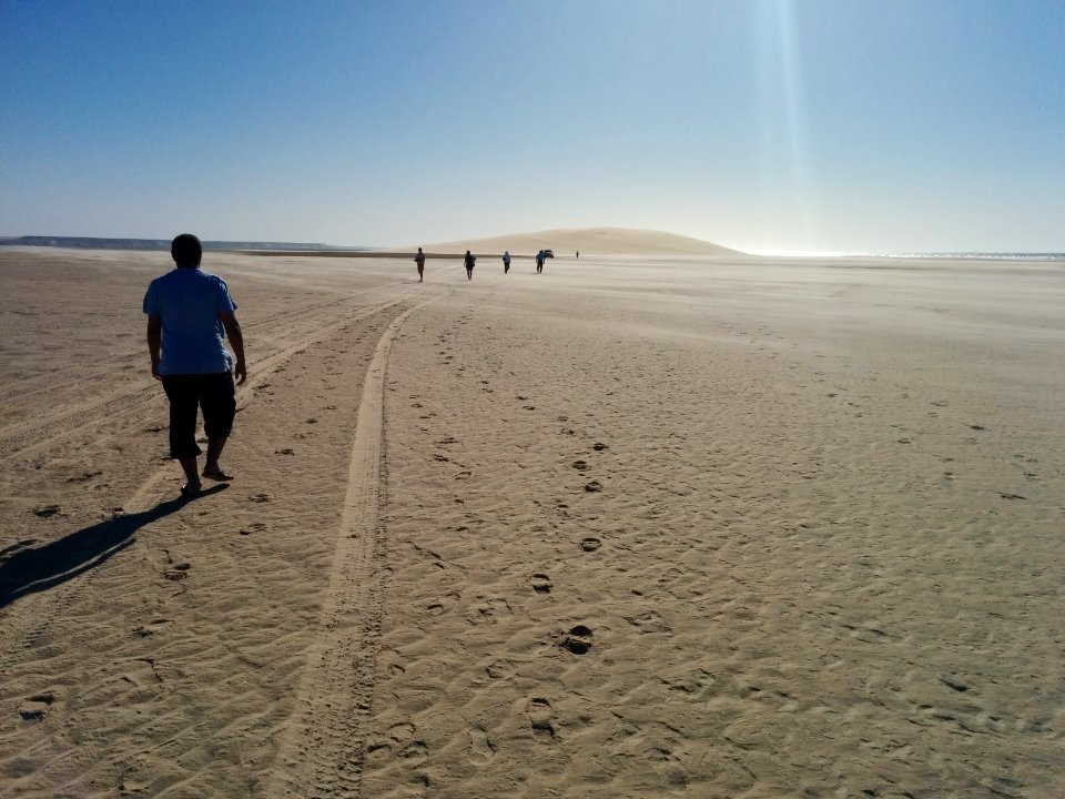 Ocean, White dune, Desert