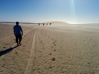 Ocean, White dune, Desert