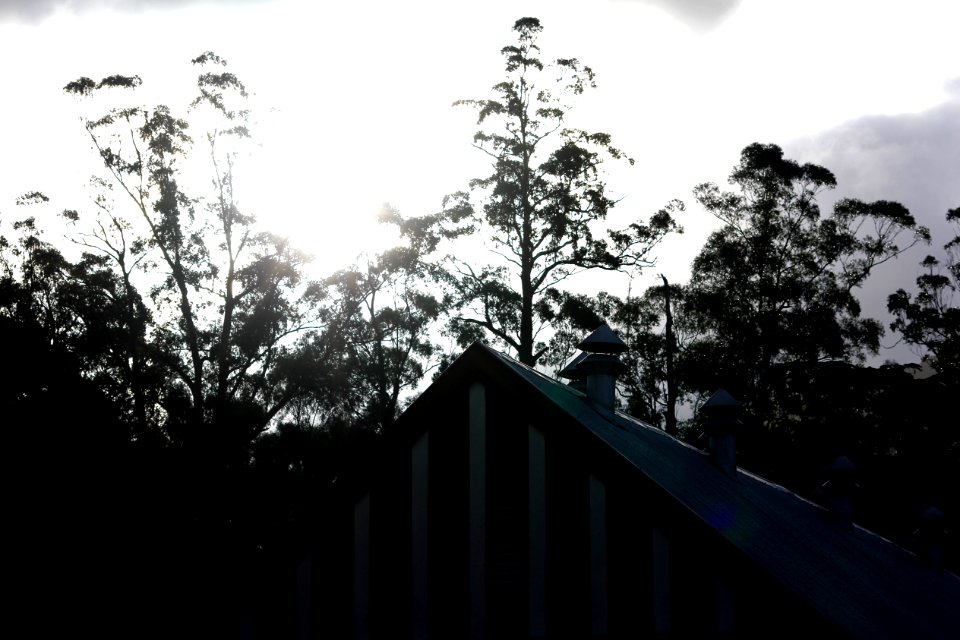 Warburton, Australia