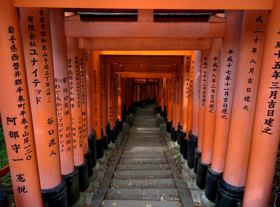 Kyoto, Pr fecture de kyoto, Japon