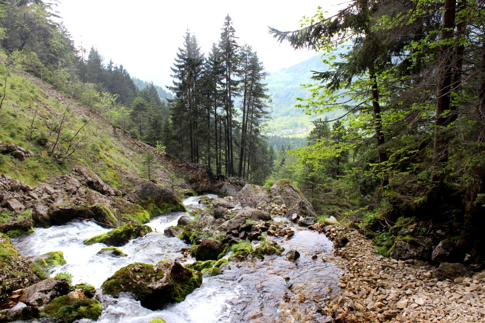 Cirque de saint m me, Saint pierre d entremont, France