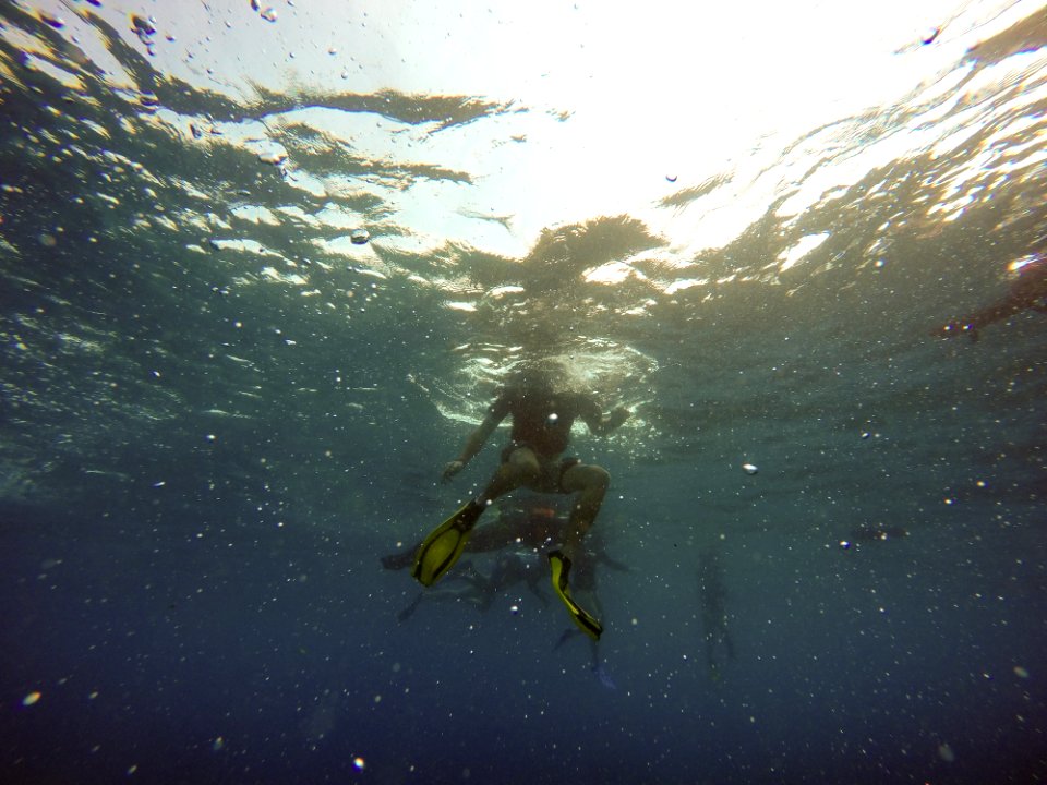 Adventure, Underwater, Snorkel