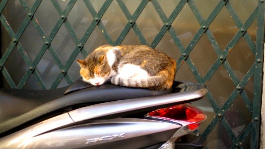 Italy, Province of lucca, Motorcycle
