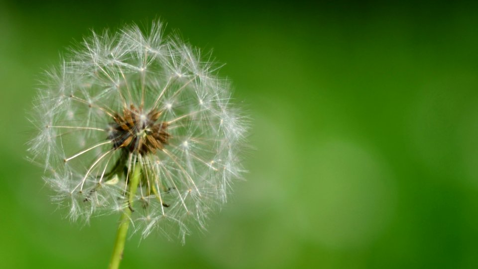 Leonding, Austria, Bokeh