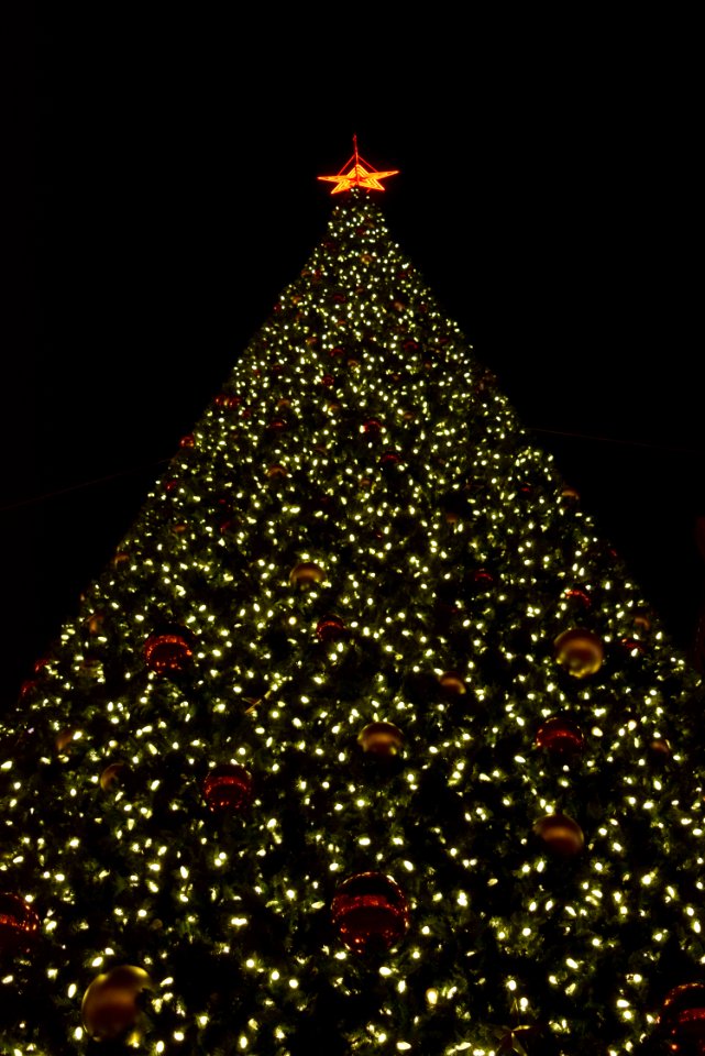 Mary christmas, San francisco, United states