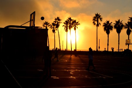 silhouette photo of people playing basketball during sunset photo