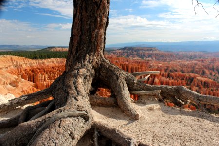 Bryce canyon, United states, Utah photo