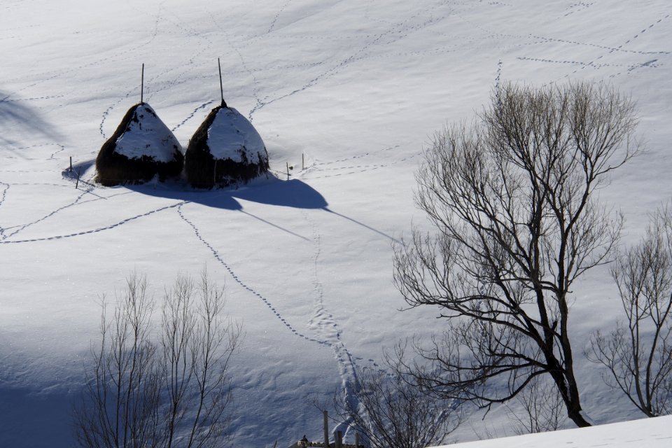 Snow, Hay, Romania