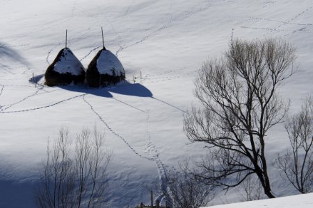 Snow, Hay, Romania