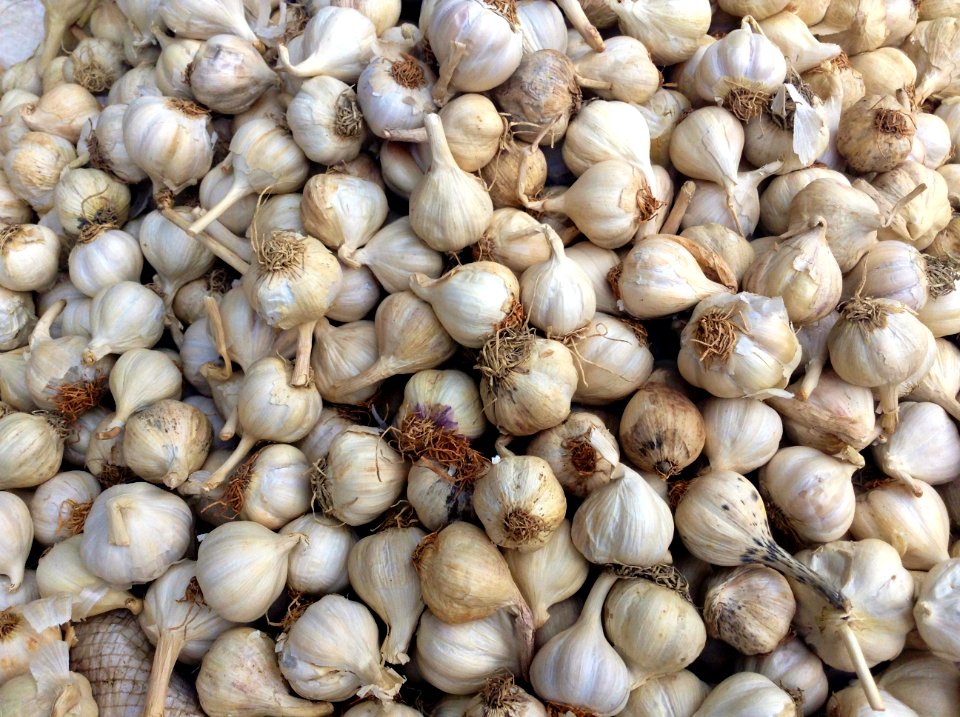 Food, Market, Garlic