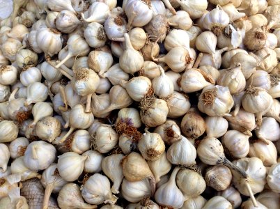 Food, Market, Garlic