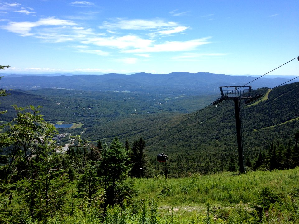 Vermont, United states, Trees