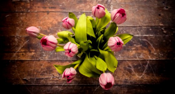 pink petaled flower centerpiece on brown wooden surface in high angle shot