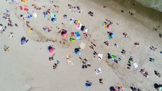 aerial photo of people sunbathing on the beach photo