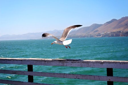 Pismo beach, United states, Mountains photo