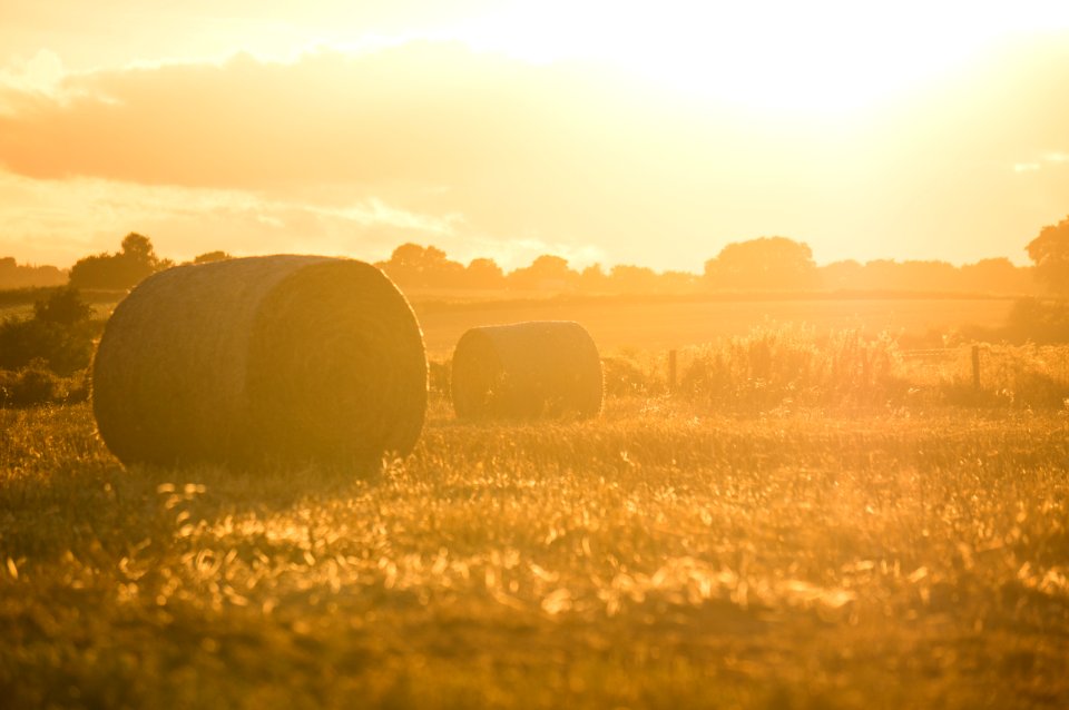 two rolled hay bales on grass field during golden hour