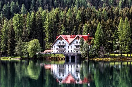 Forest bergsee summer