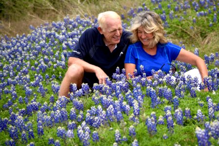 Austin, United states, Blue bonnets photo