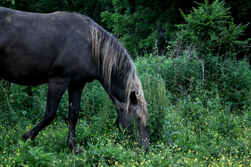 Crestwood, United states, Kentucky
