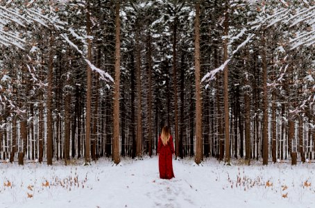 woman standing in front of forest photo