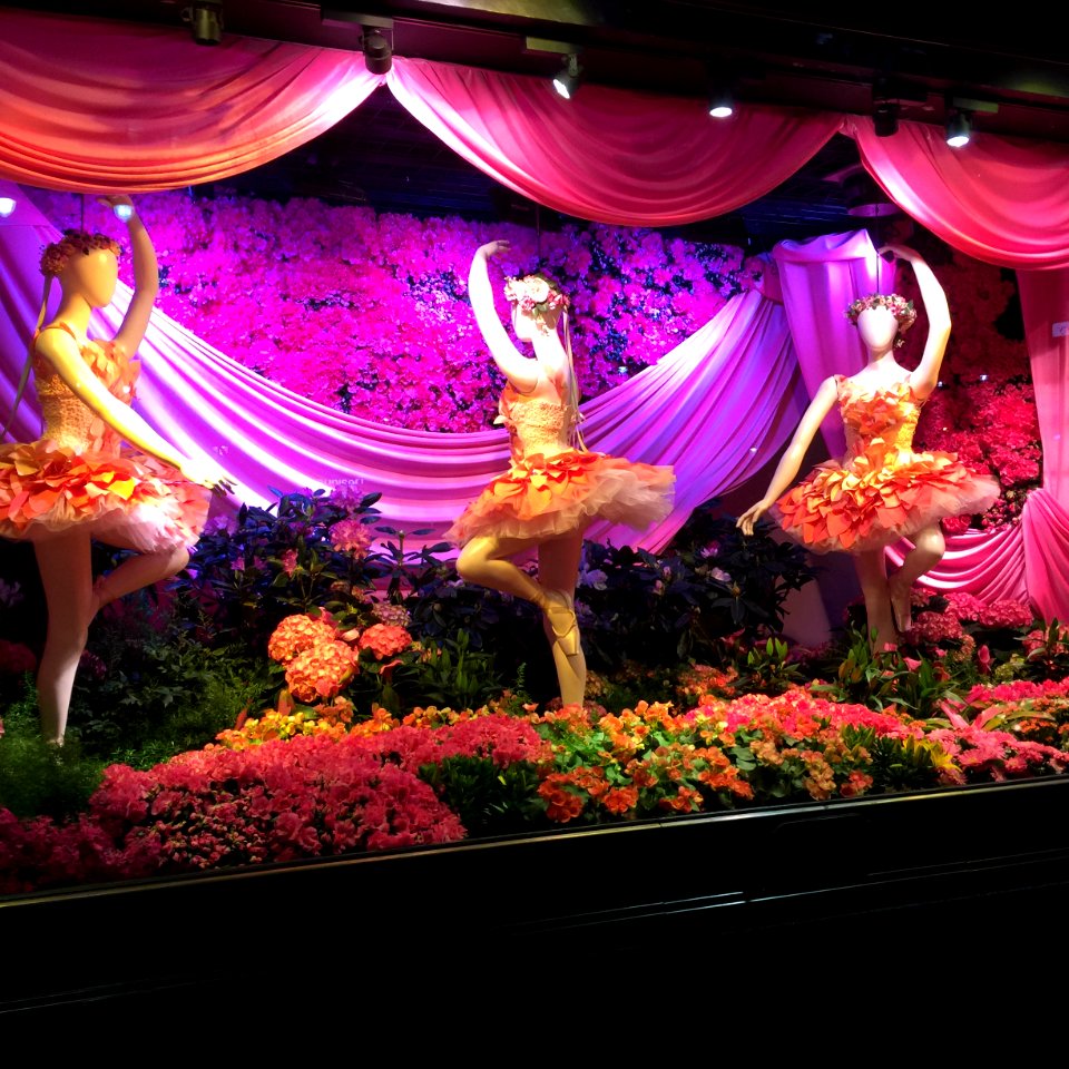 New york, United states, Flowers