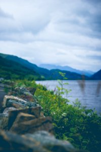 Loch lomond, United kingdom, Green photo