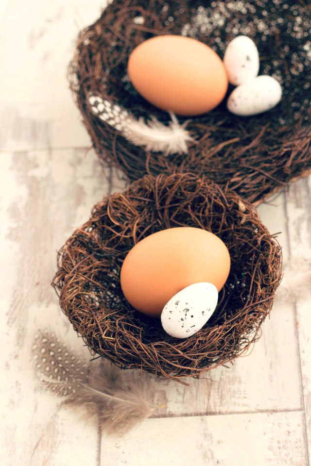 Farm, Easter, Eggs
