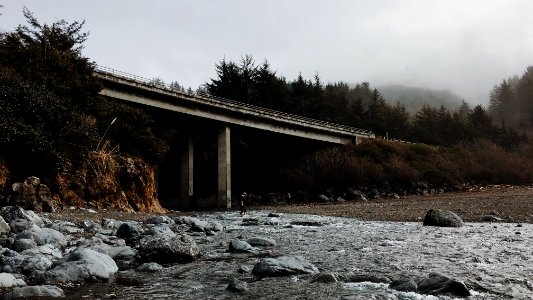 gray concrete bridge near trees at daytime photo
