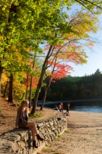 Walden pond, Concord, United states