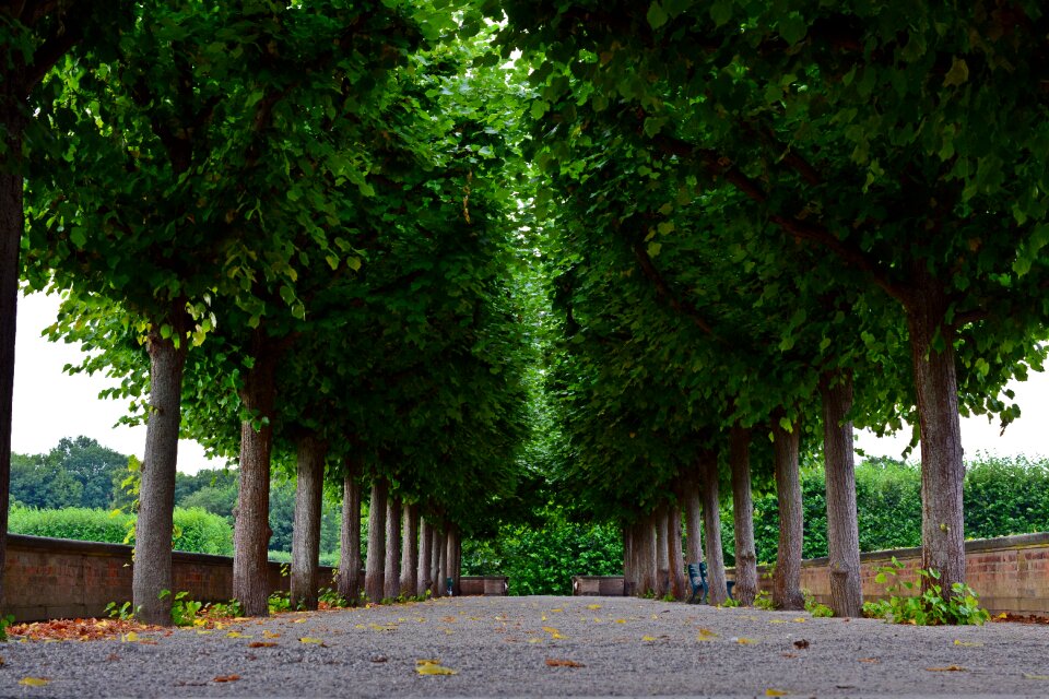 Herrenhäuser gardens hanover mood