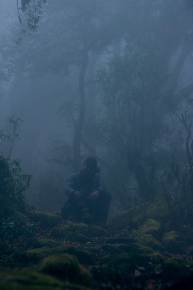 Nepal, Forest, Mahankal chaur
