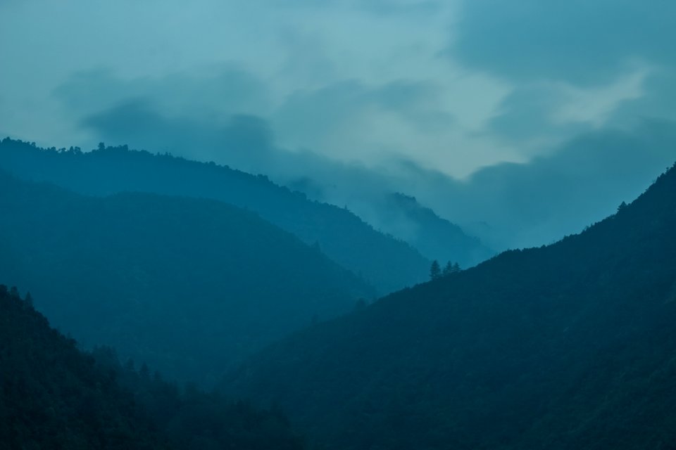 Nepal, Mahankal chaur, Jungle