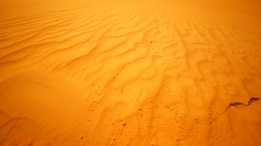 Brazil, State of tocantins, Shot