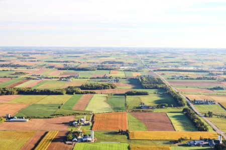 aerial photography of brown and green fileds