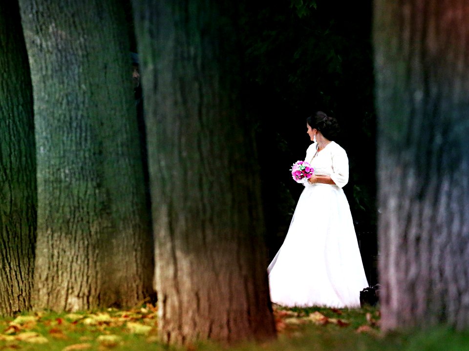 Lonely, One, Ceremony