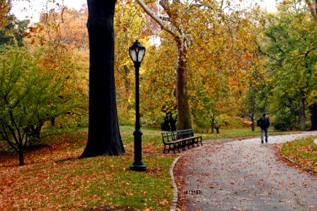 New york, Central park, United states