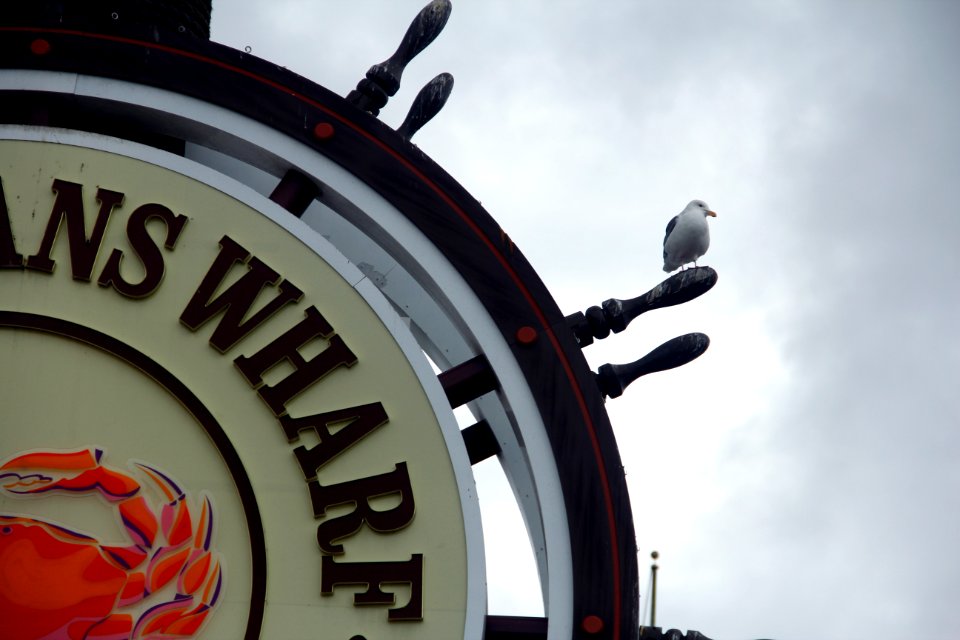 San francisco, Fishermans wharf, United states